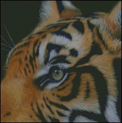 (image for) Eye of the Tiger